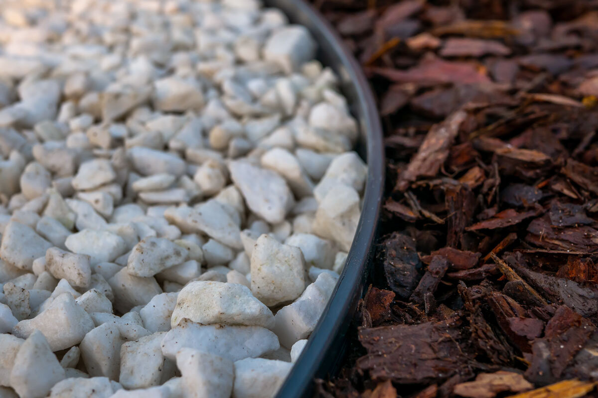 lawn edges 05 1