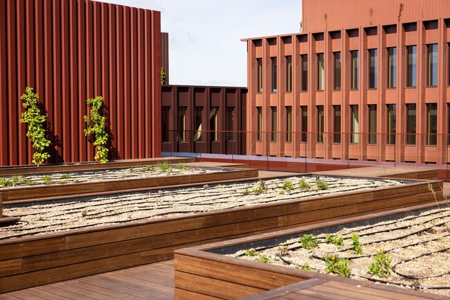 System wooden planters with drip irrigation lines