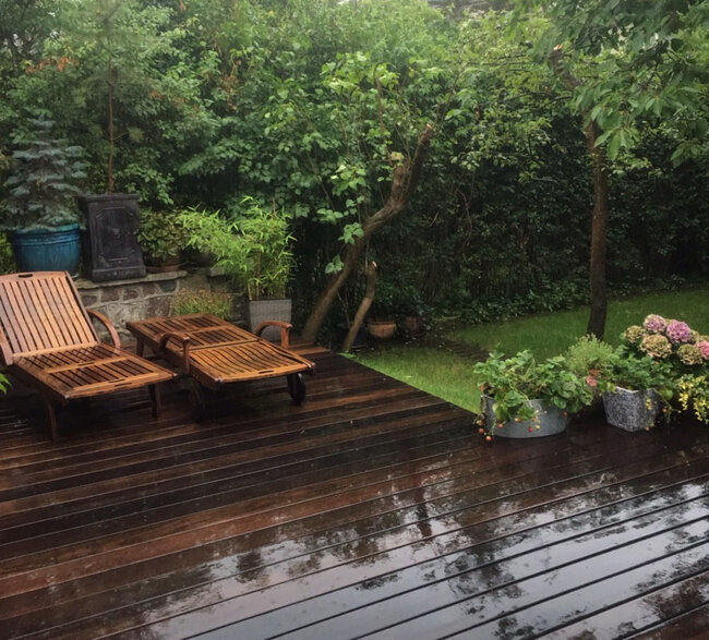 Wet wooden terrace with loungers and plants in pots.