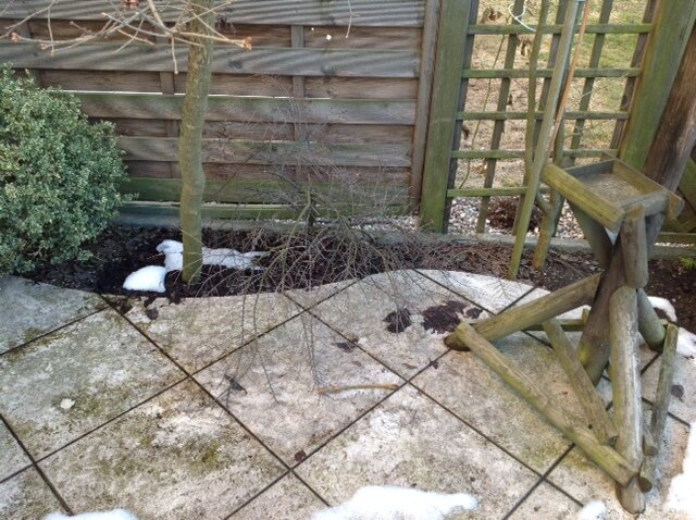 Damaged pavers on a glued terrace