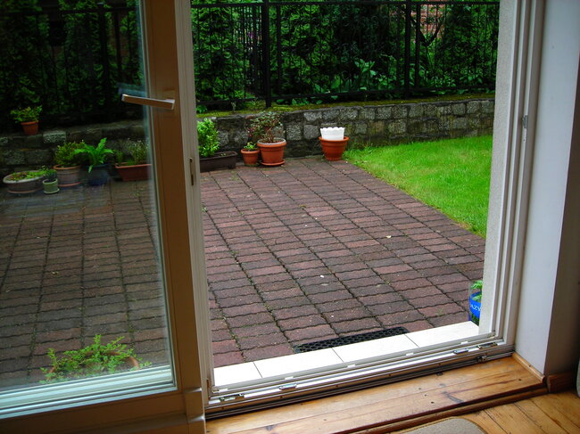 Moss and algae resulting from poor drainage and standing water on concrete pavers.