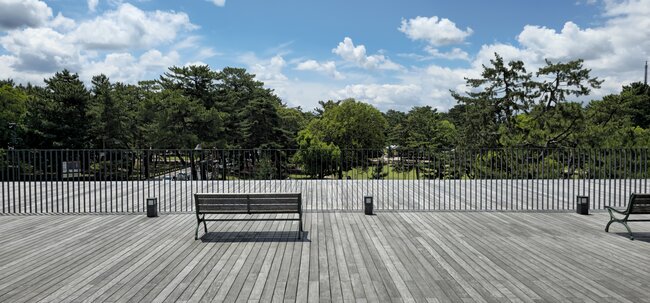 Spacious elevated deck with weathered wooden decking, metal railing, and benches overlooking a park.